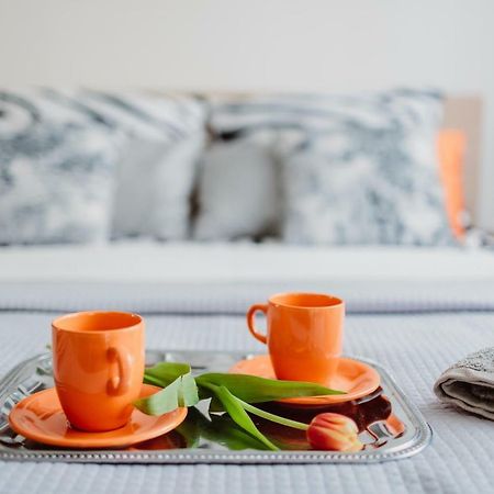 Garden Apartment 크라쿠프 외부 사진