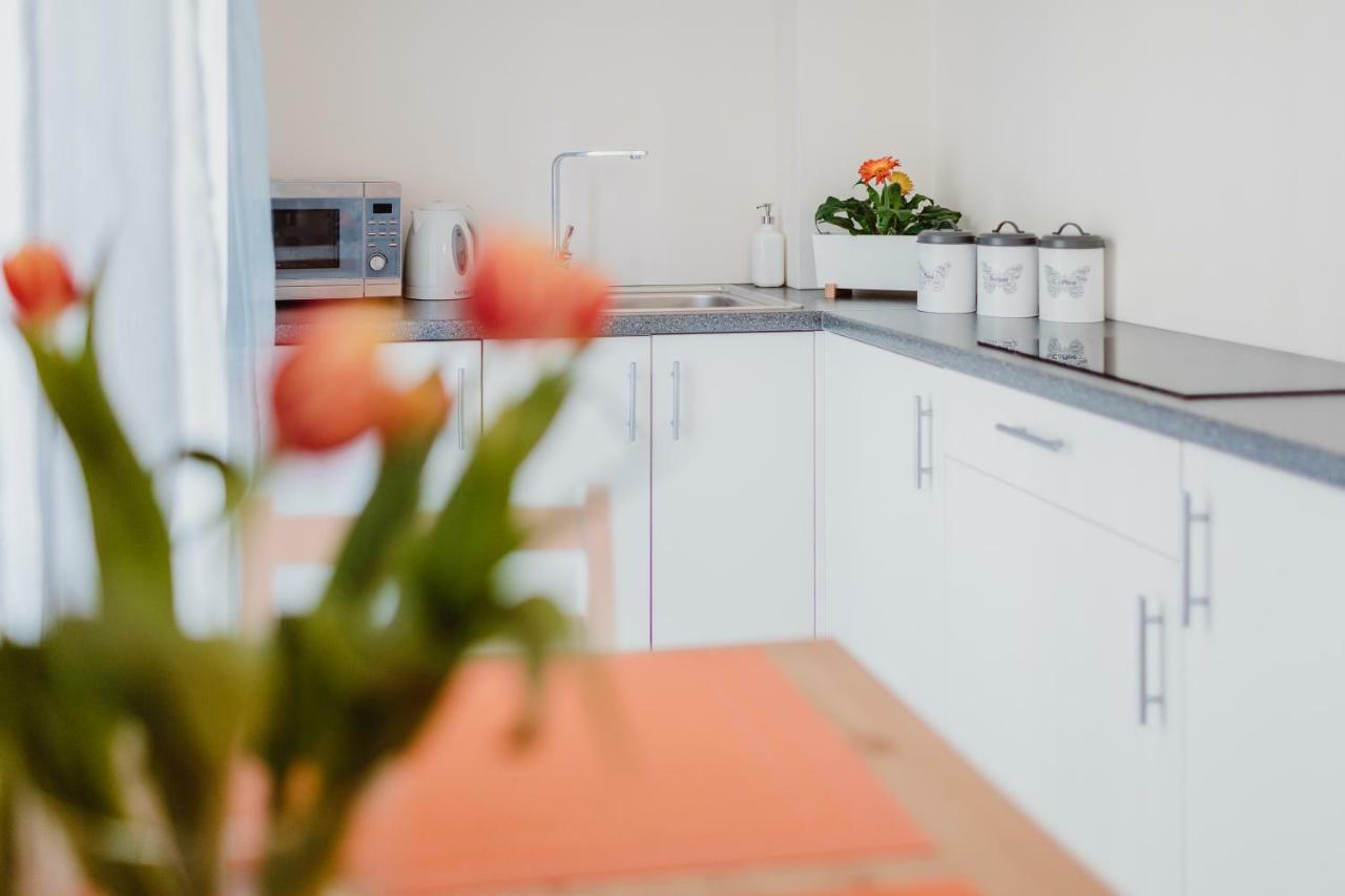Garden Apartment 크라쿠프 외부 사진
